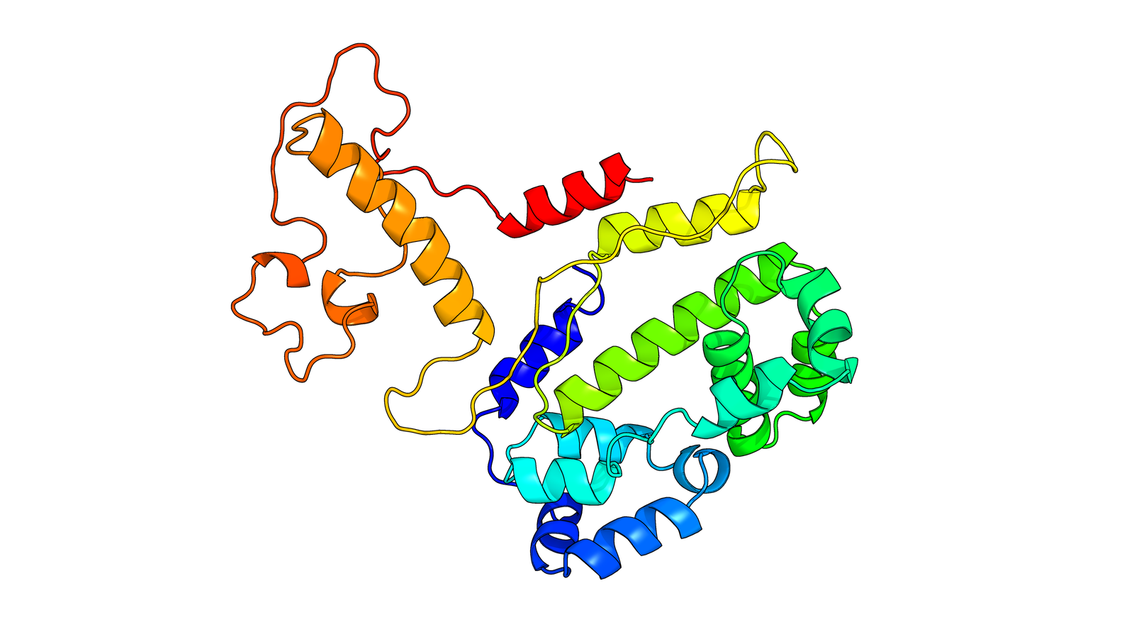 Protein Structure 1